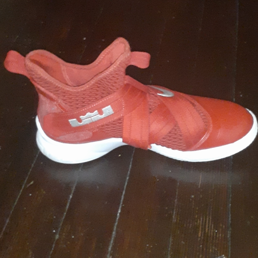 Lebrons - Picture 2 of 2